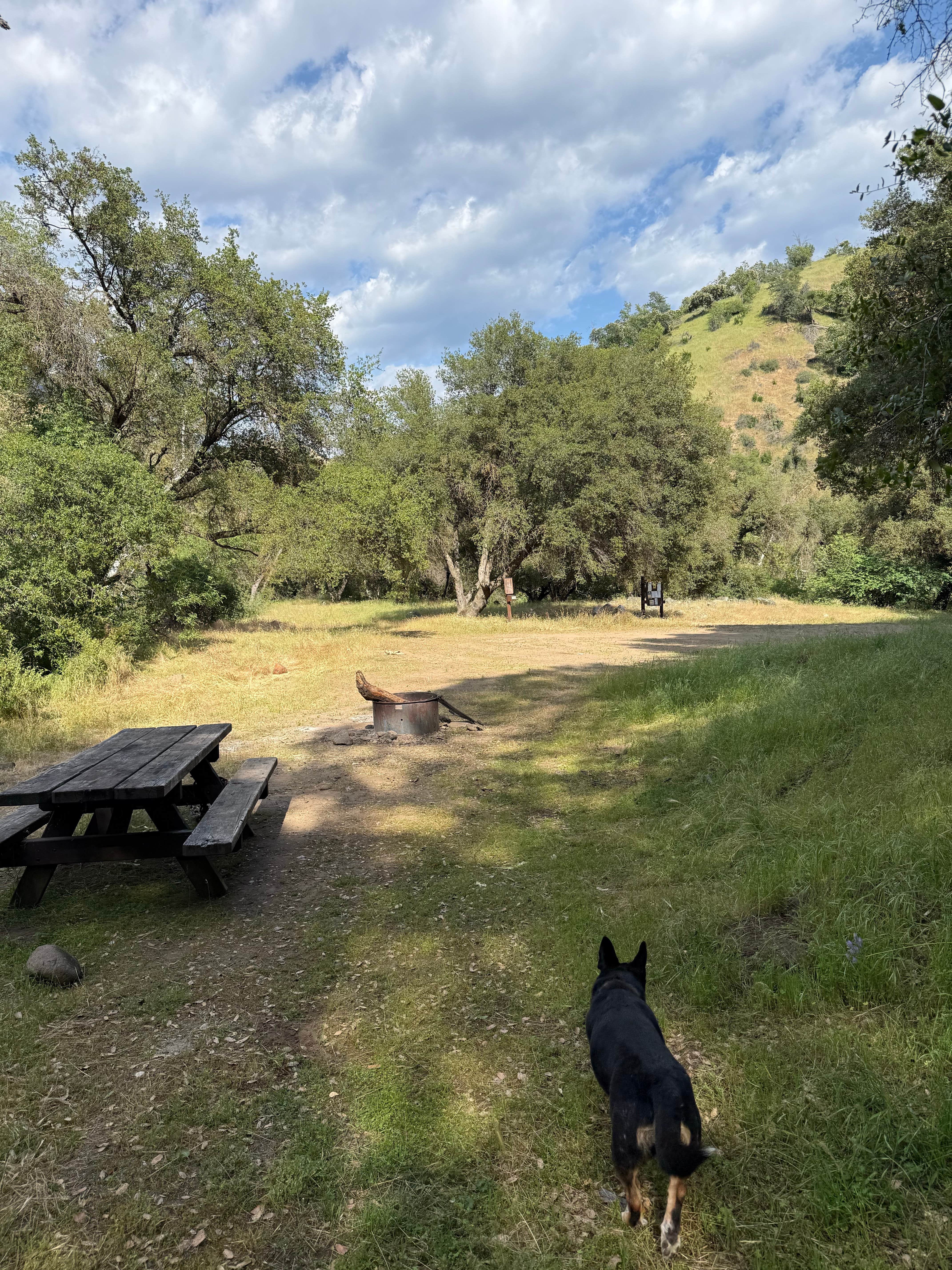Camper submitted image from Mill Flat Campground - 1