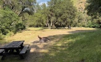 Thomas W.'s photo of camping with pets at Mill Flat Campground near Sierra National Forest
