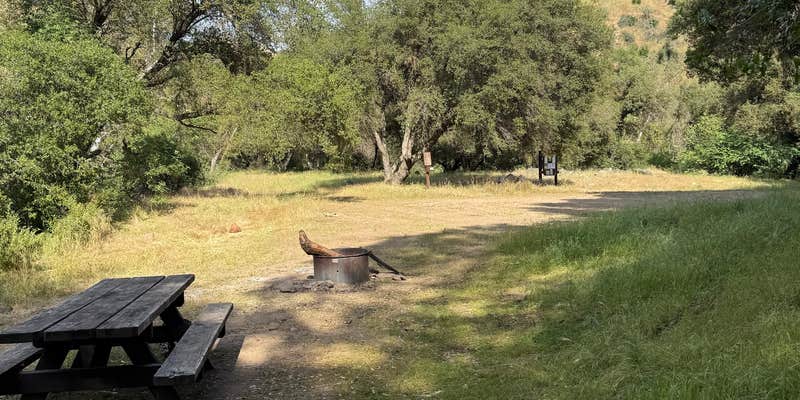 Camper submitted image from Mill Flat Campground