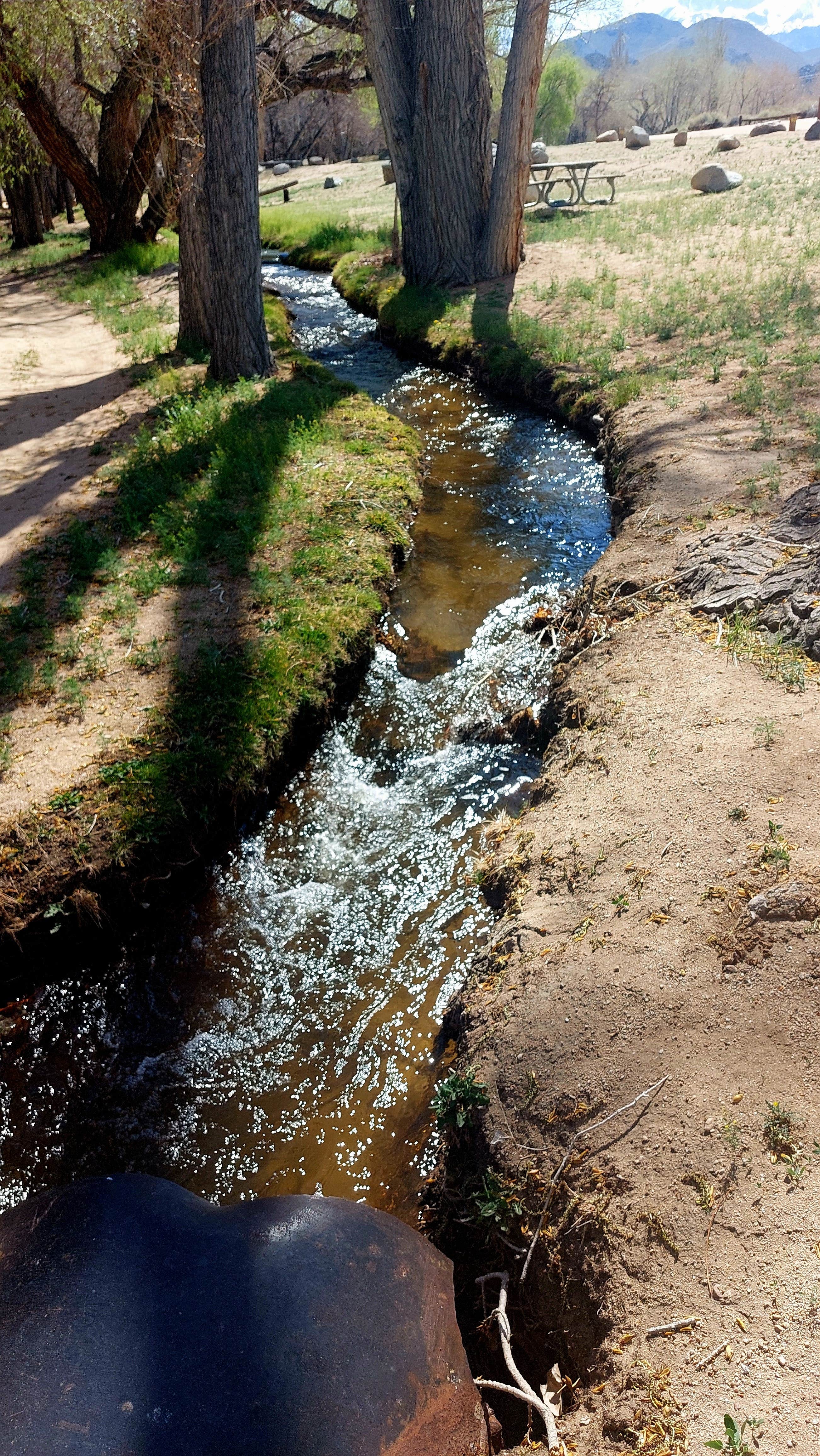 Camper-submitted photo at Brown's Millpond Campground near Bishop, CA