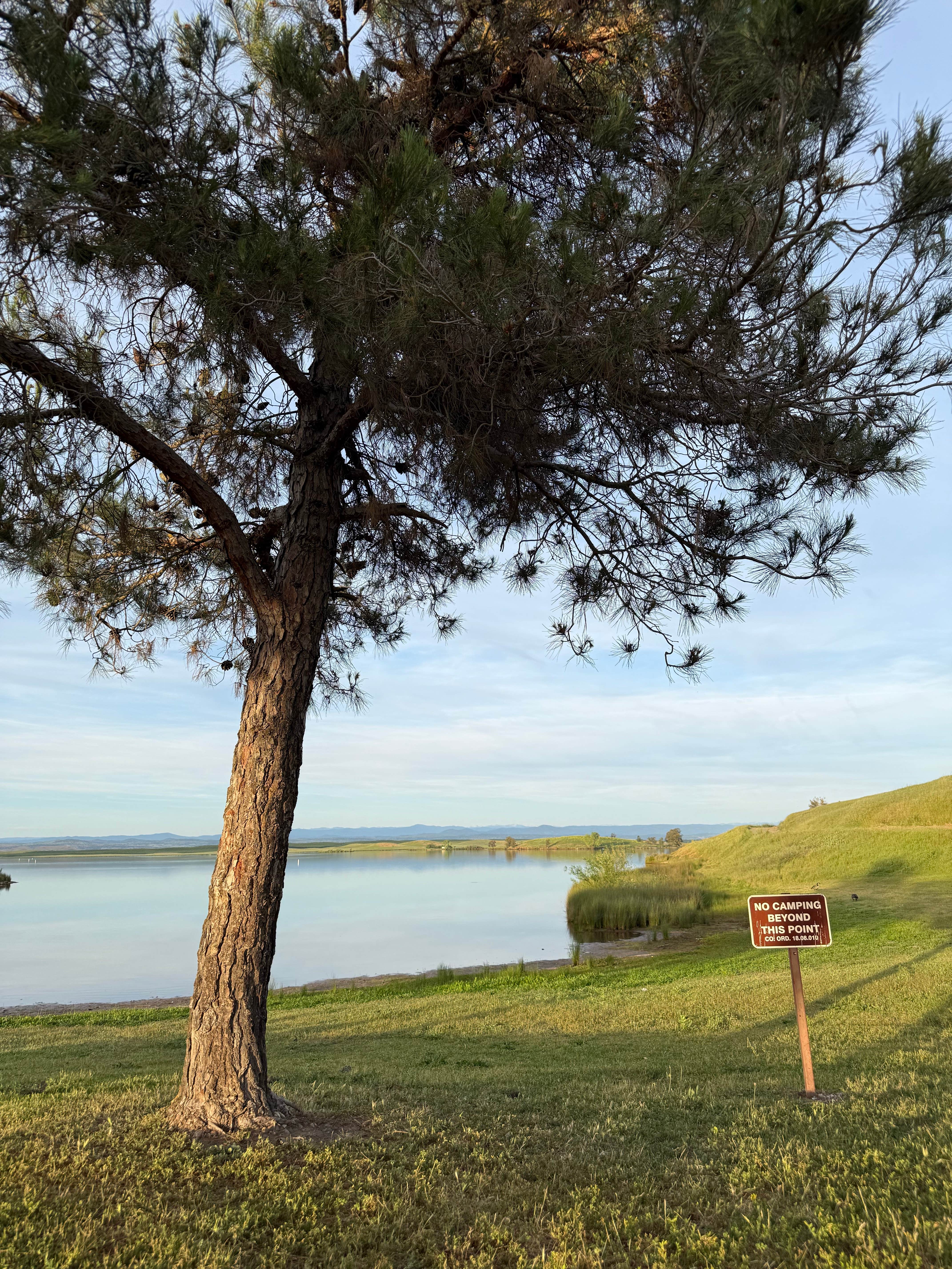 Camper-submitted photo at Modesto Reservoir near Modesto, CA