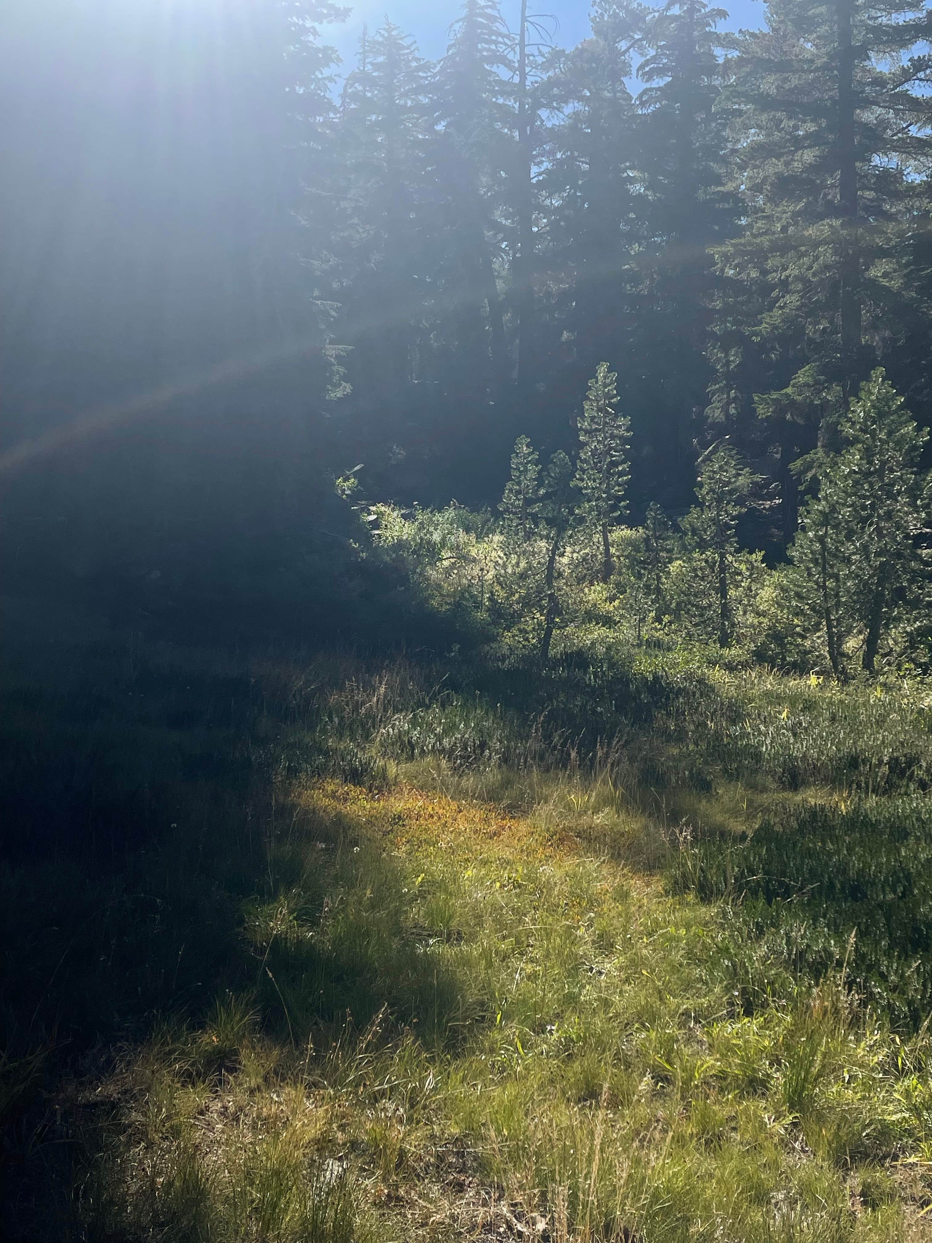 Camper-submitted photo at Mokelumne Campground near Pioneer, CA