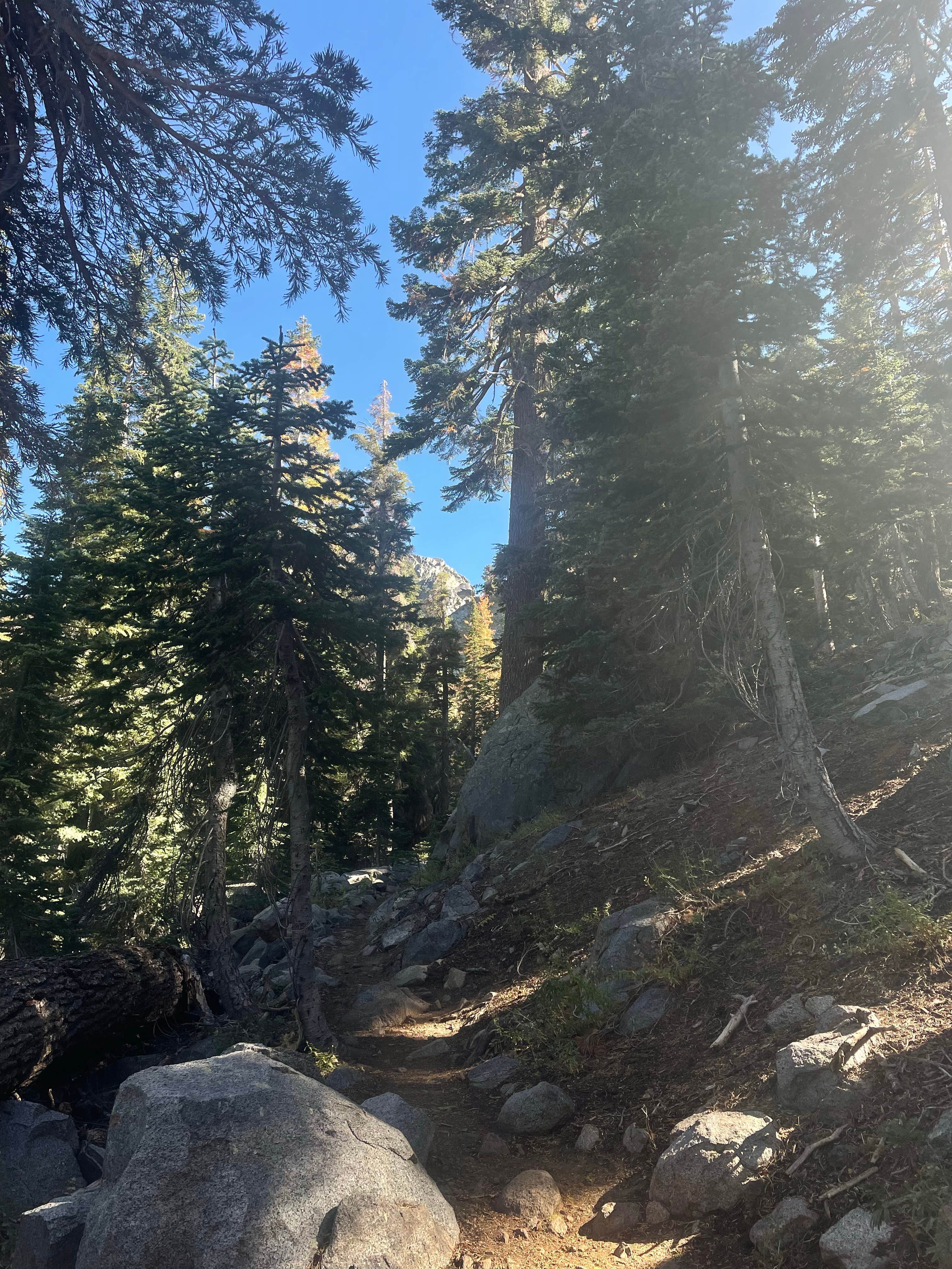 Camper-submitted photo at Mokelumne Campground near Pioneer, CA