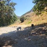 Review photo of Monte Cristo Campground by goose10091203 , June 6, 2025