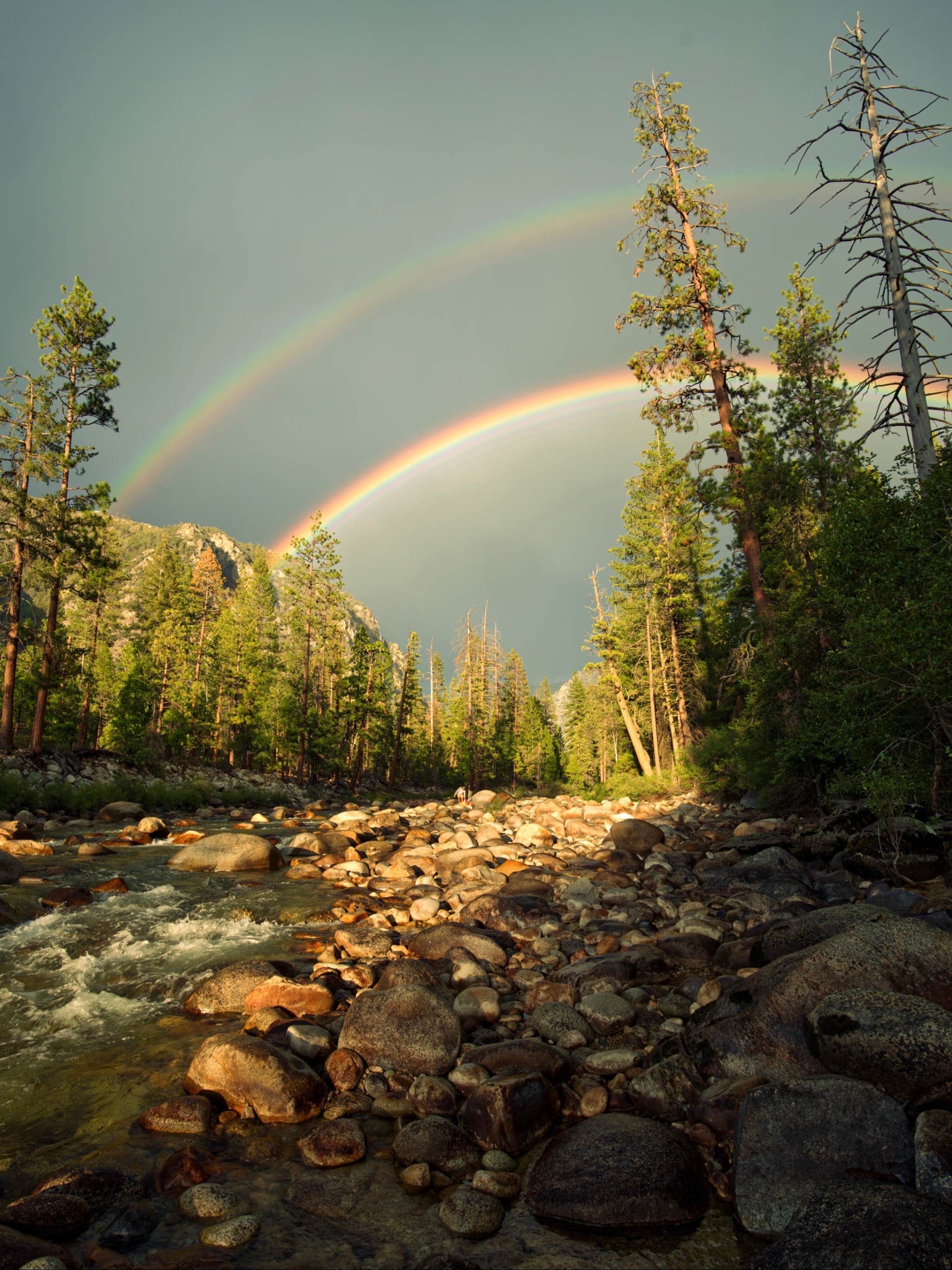 Camper submitted image from Moraine Campground — Kings Canyon National Park - 3