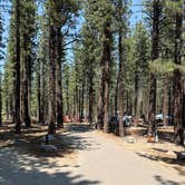 Review photo of New Shady Rest Campground by Kim G., July 14, 2025