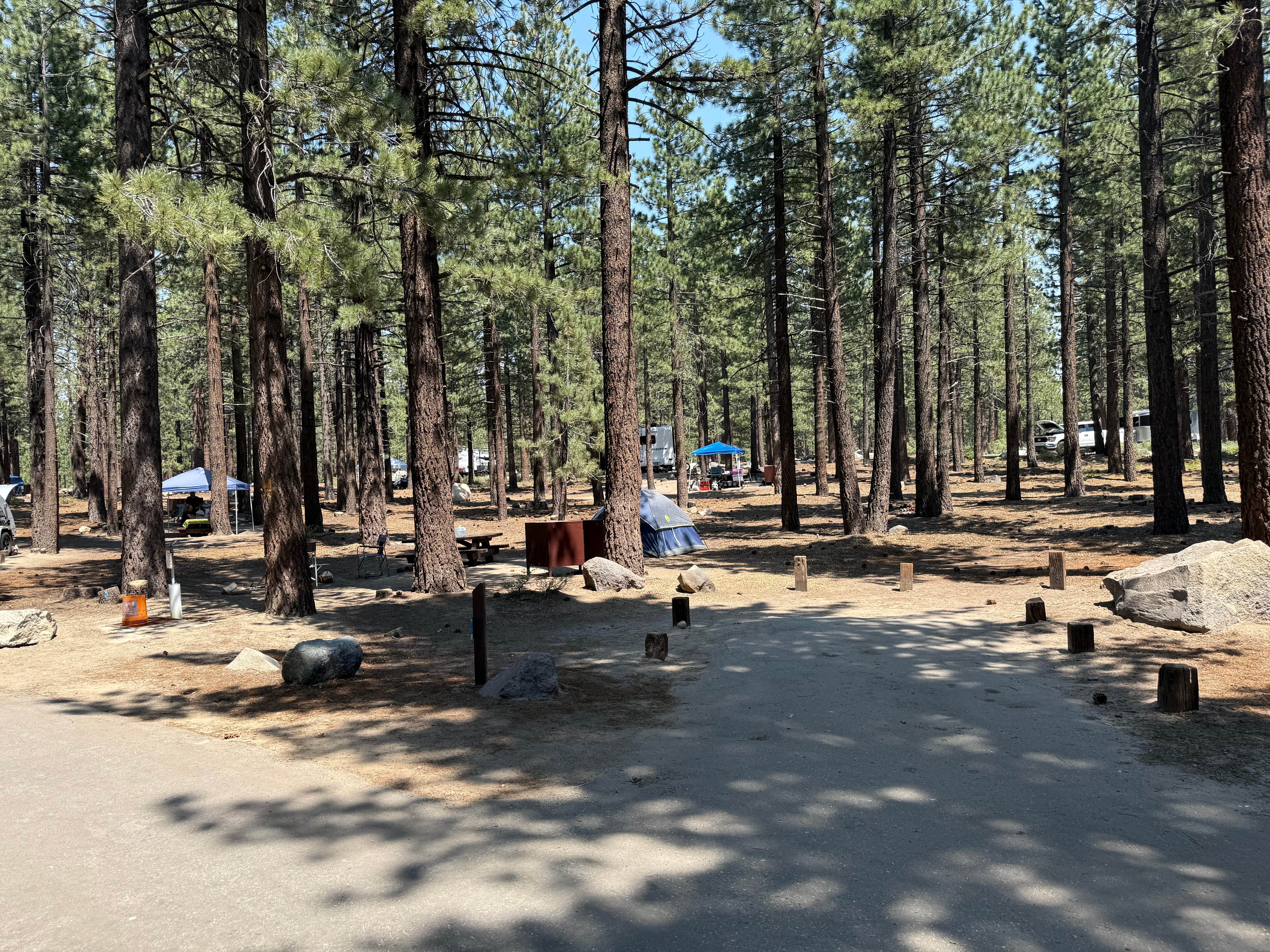 Kim G.'s photo at New Shady Rest Campground near Inyo National Forest