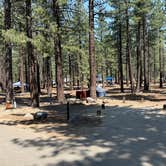 Review photo of New Shady Rest Campground by Kim G., July 14, 2025