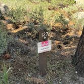 Review photo of New Shady Rest Campground by Summer M., June 30, 2025