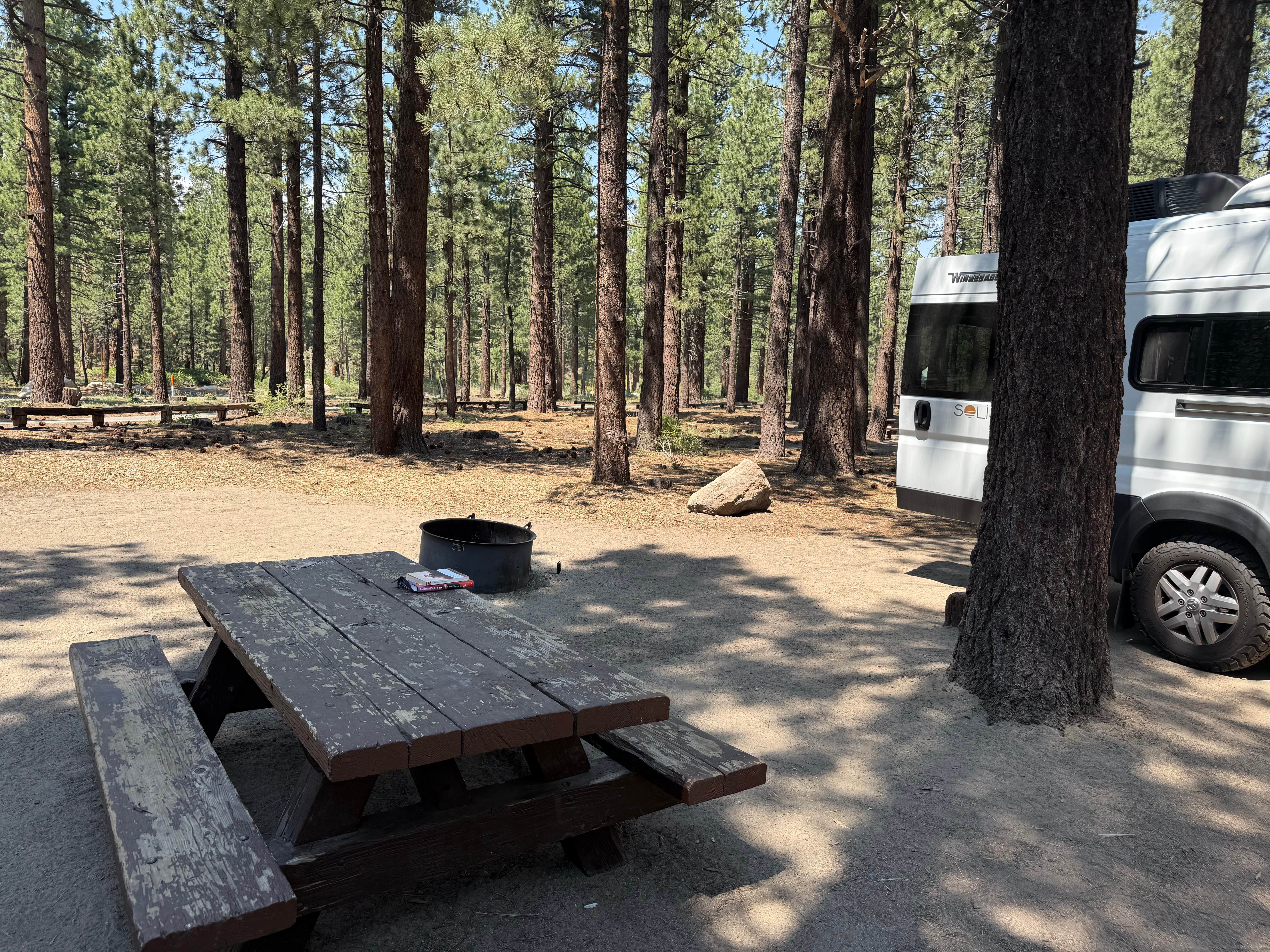Kim G.'s photo of rv camping at New Shady Rest Campground near June Lake, CA