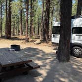 Review photo of New Shady Rest Campground by Kim G., July 14, 2025