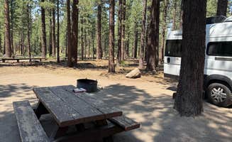 Kim G.'s photo of rv camping at New Shady Rest Campground near June Lake, CA