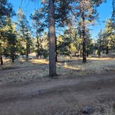 Review photo of North Eagle Lake Campground by lee's freelance M., August 21, 2024