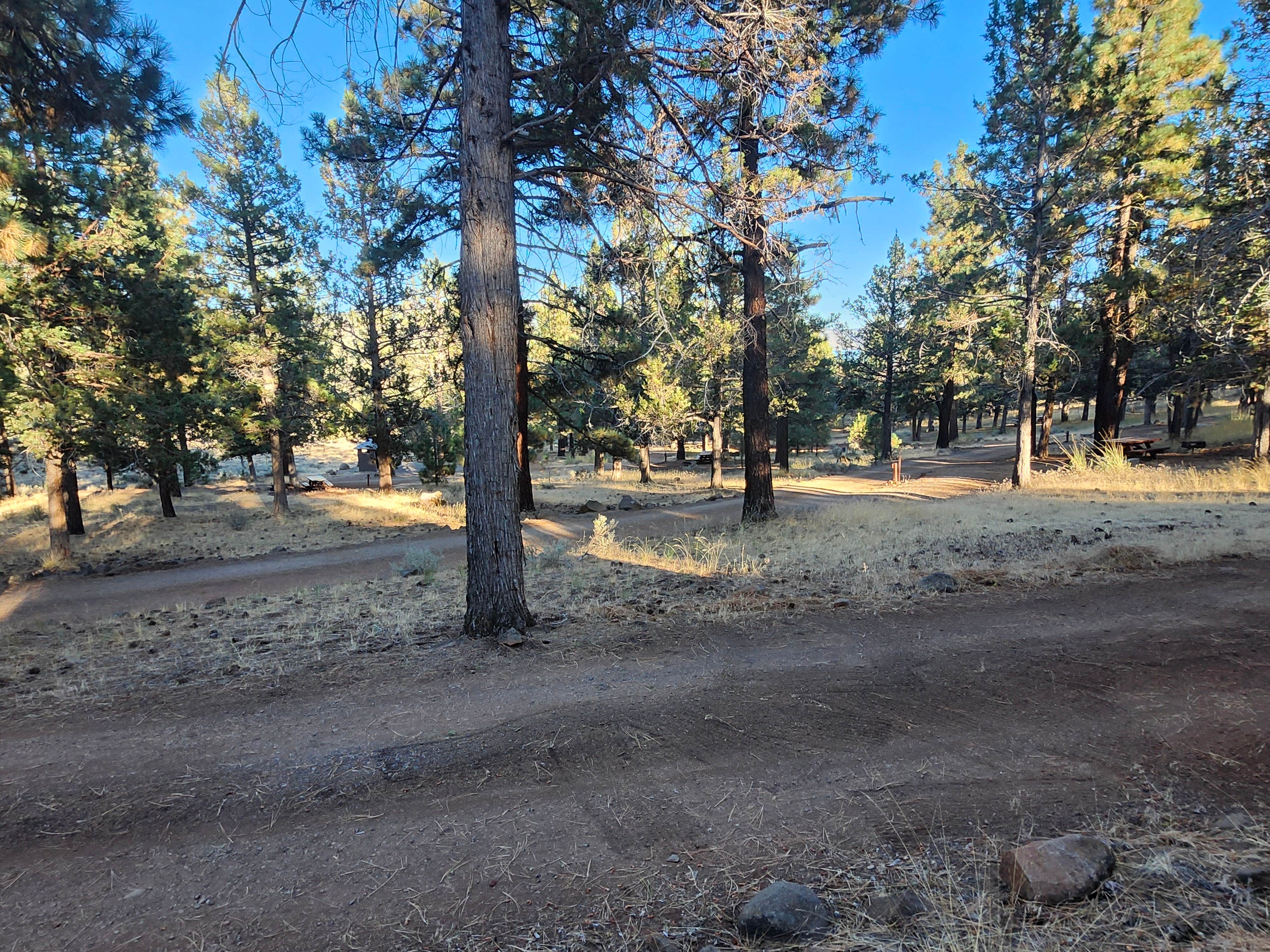 Camper submitted image from North Eagle Lake Campground - 4