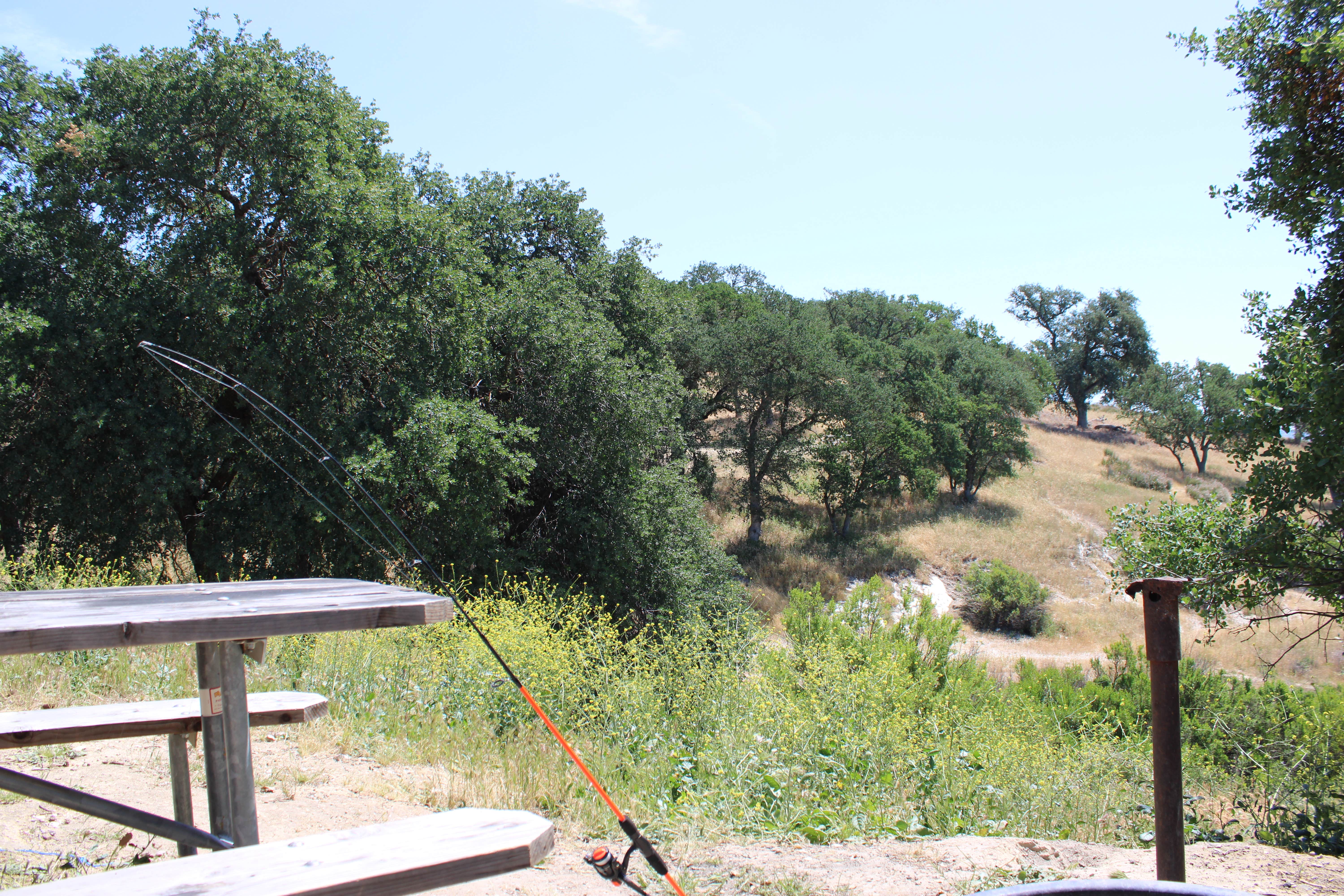 Camper-submitted photo at Lake San Antonio - North Shore near Bradley, CA