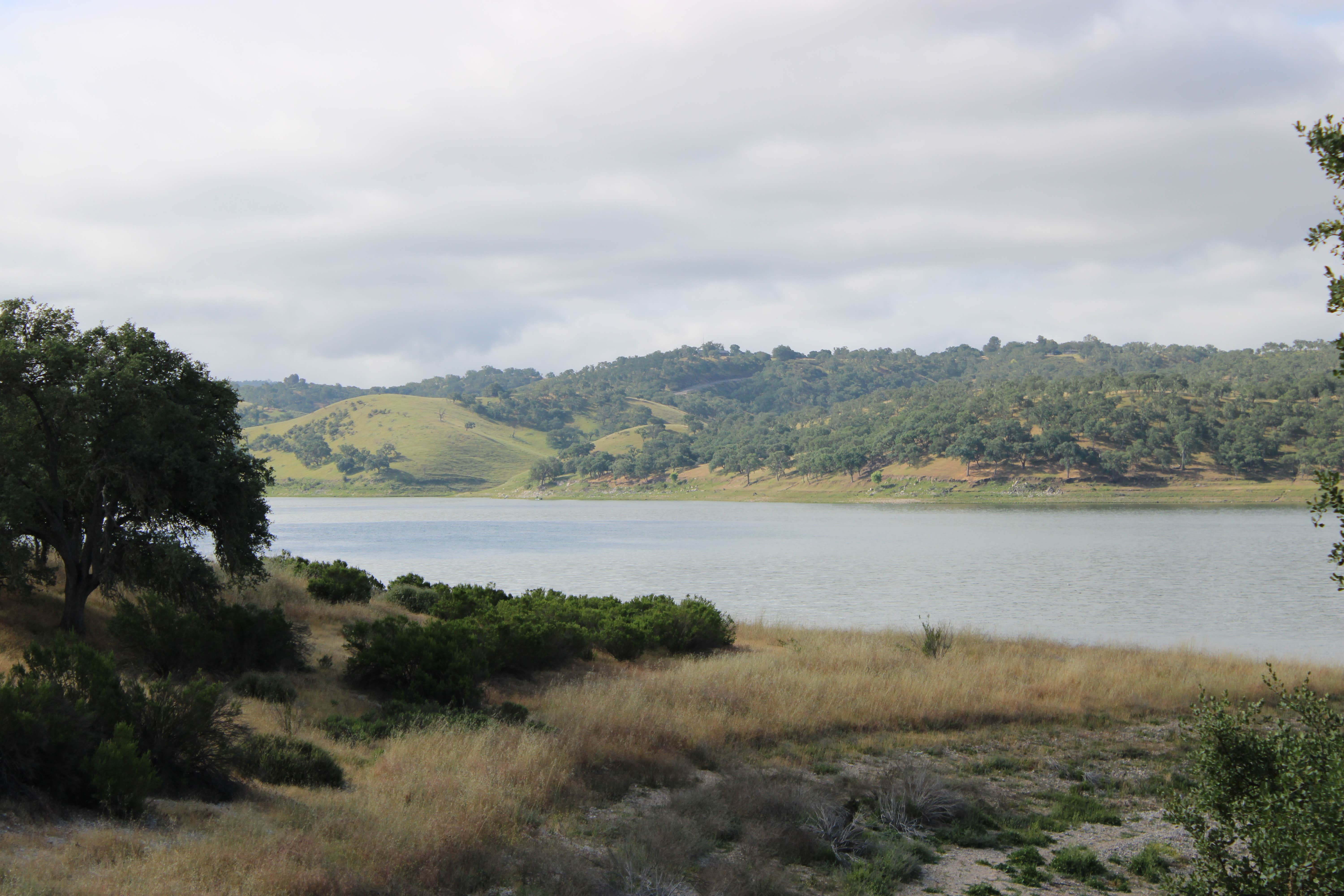 Camper-submitted photo at Lake San Antonio - North Shore near Bradley, CA