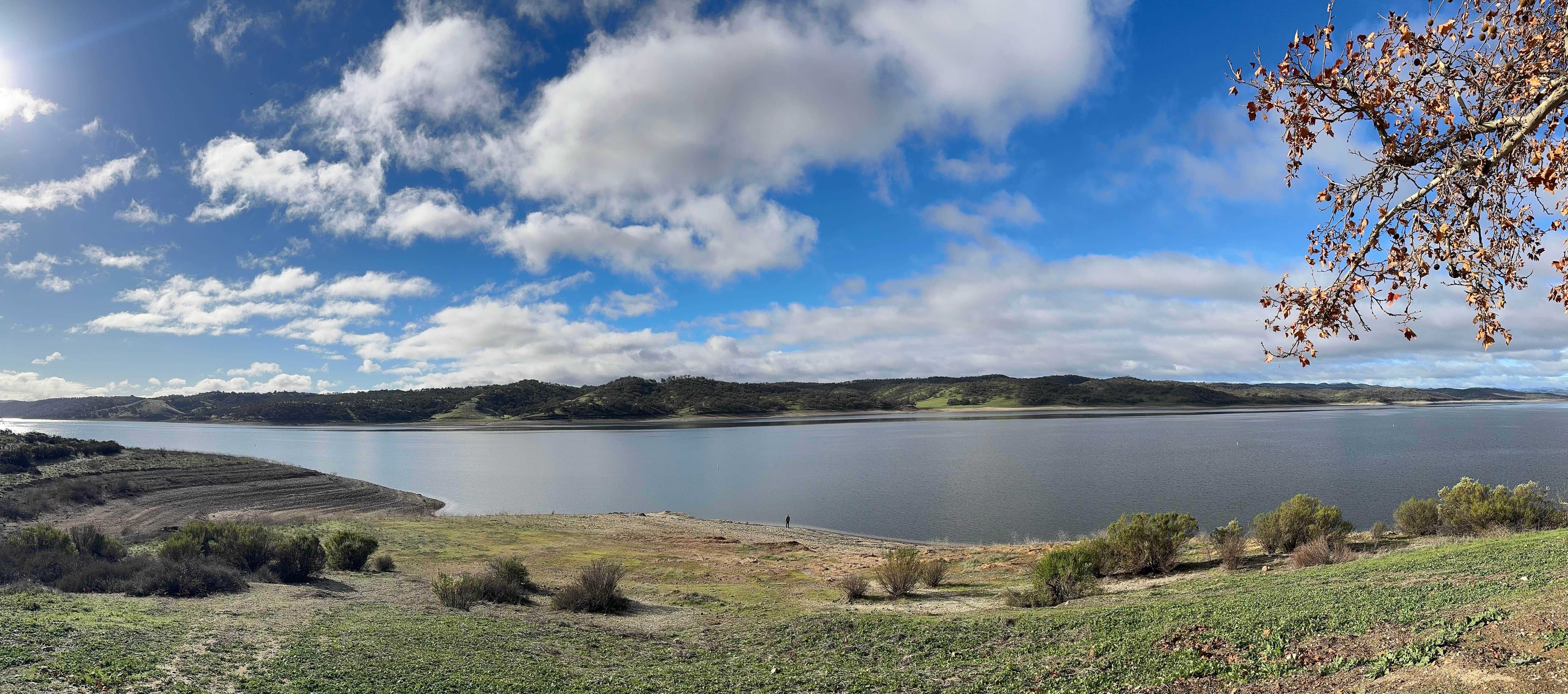 Camper submitted image from Lake San Antonio - North Shore - 1