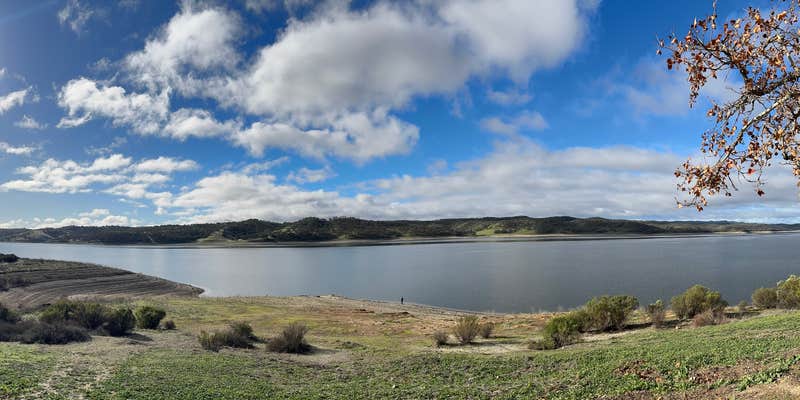 Camper submitted image from Lake San Antonio - North Shore