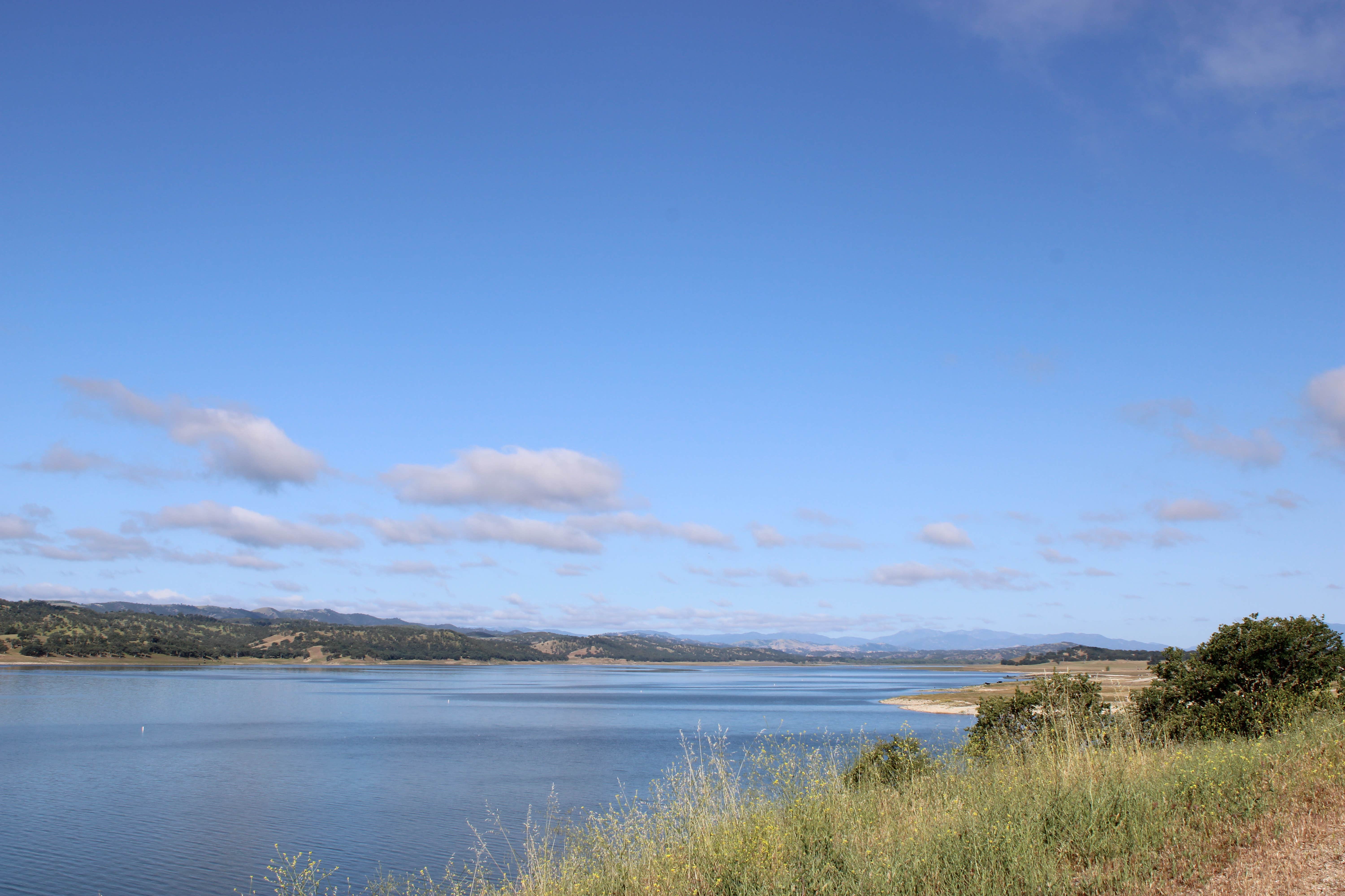 Camper-submitted photo at Lake San Antonio - North Shore near Bradley, CA