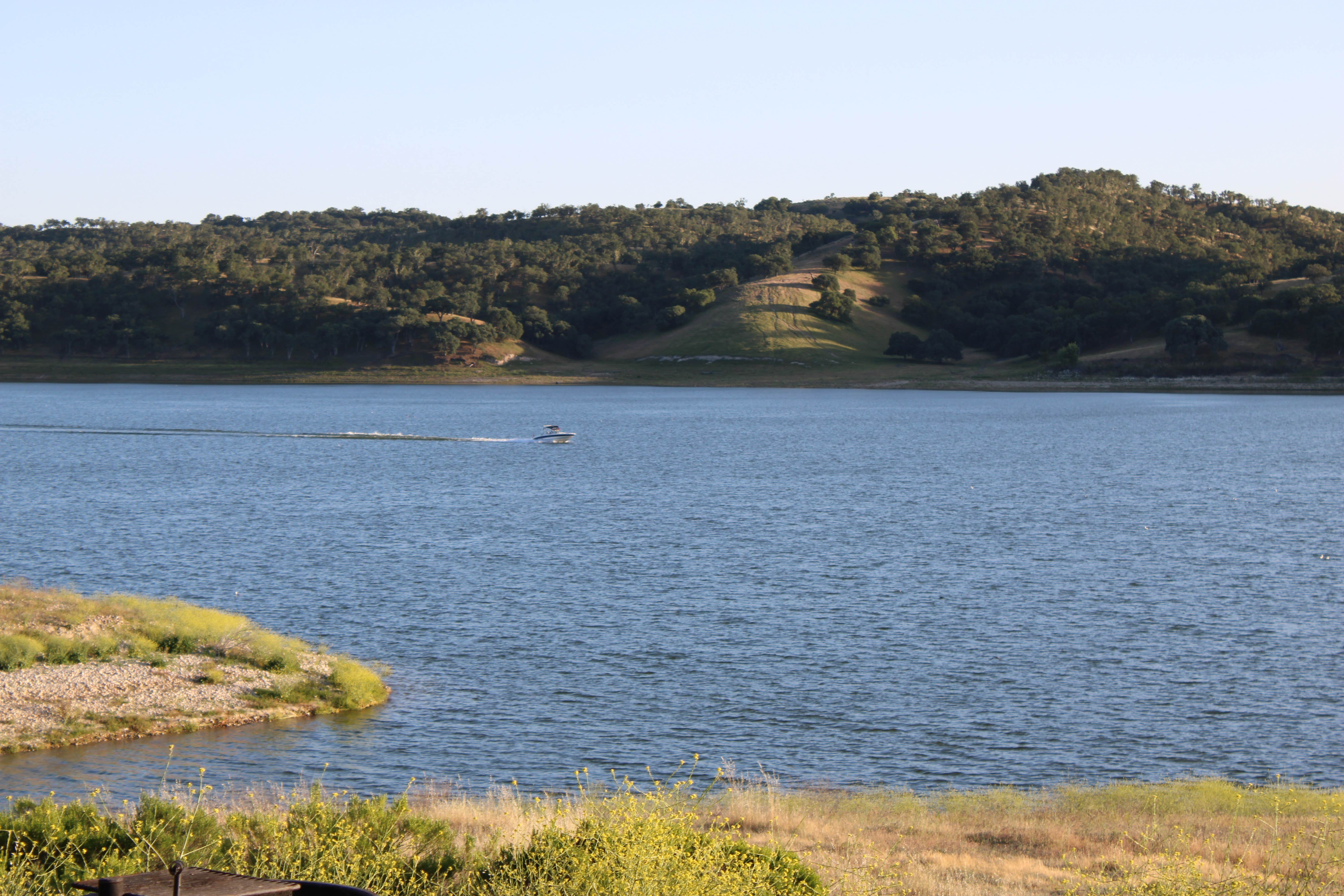 Camper-submitted photo at Lake San Antonio - North Shore near Bradley, CA