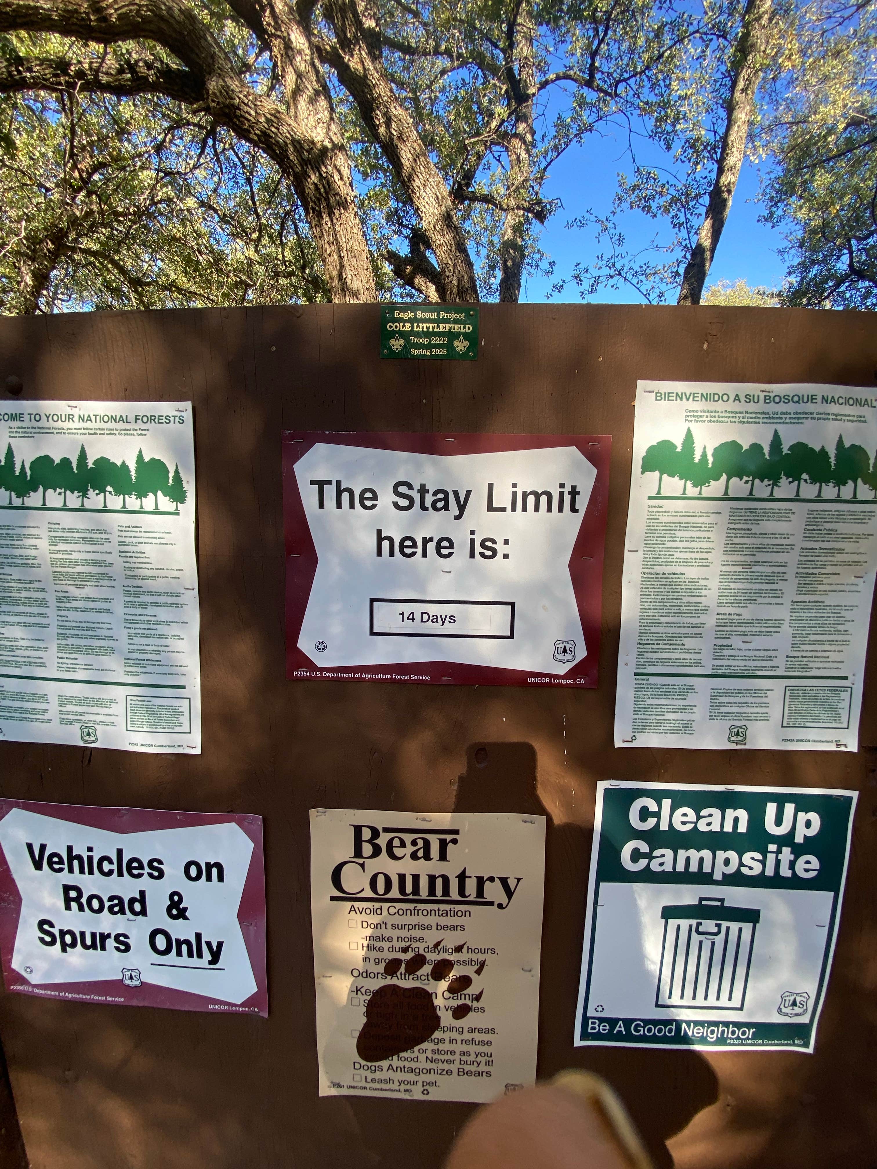 Camper submitted image from Oak Flat Campground - 5