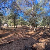 Review photo of Oak Flat Campground by Imerie T., October 18, 2025