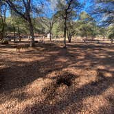 Review photo of Oak Flat Campground by Imerie T., October 18, 2025