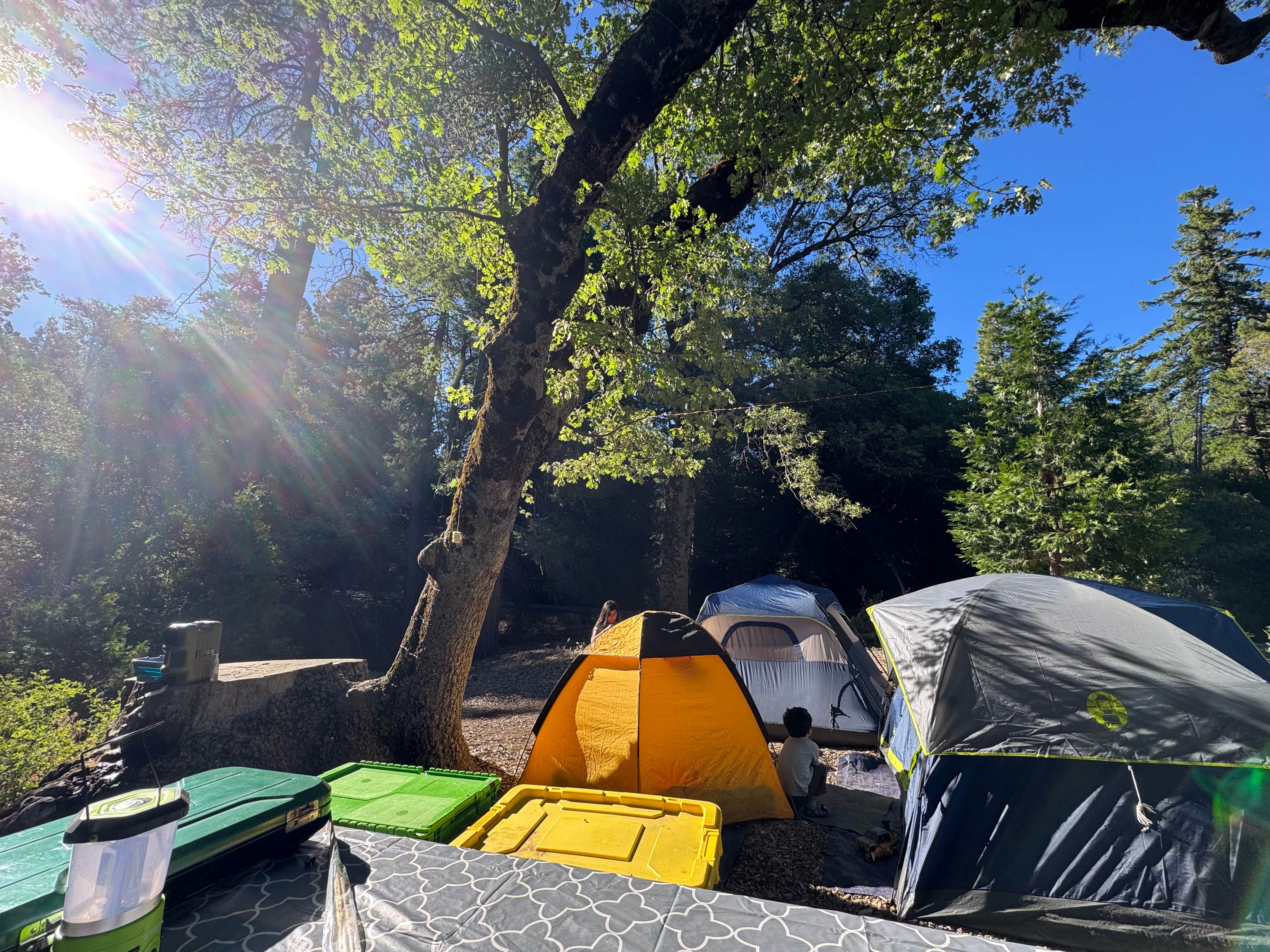 JOSE V.'s photo at Observatory Campground near Cleveland National Forest
