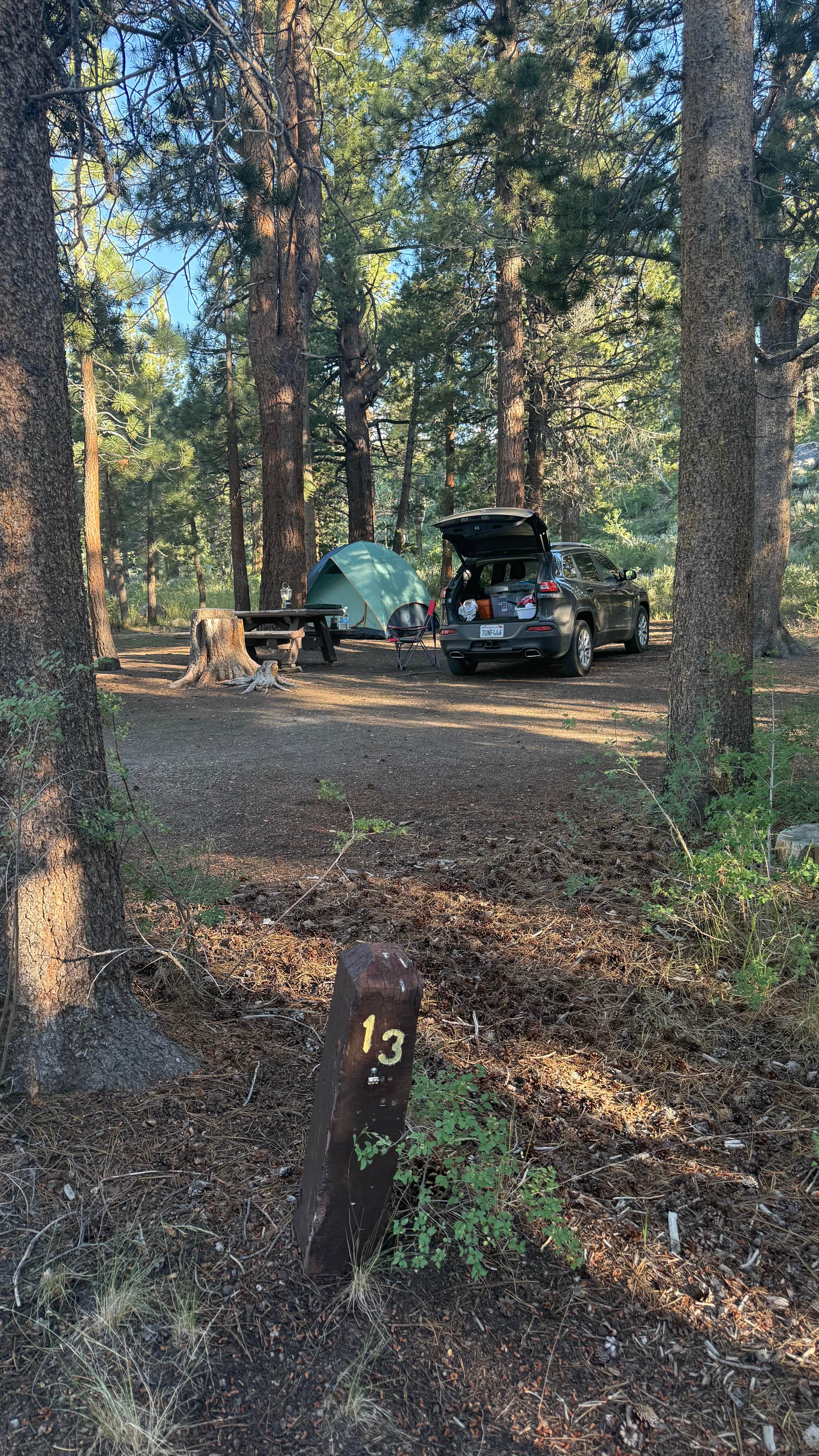 ross K.'s photo at Obsidian Campground near Bridgeport, CA