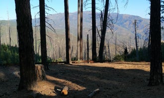 Camping near Little Stony Campground: Old Mill Campground, Stonyford, California