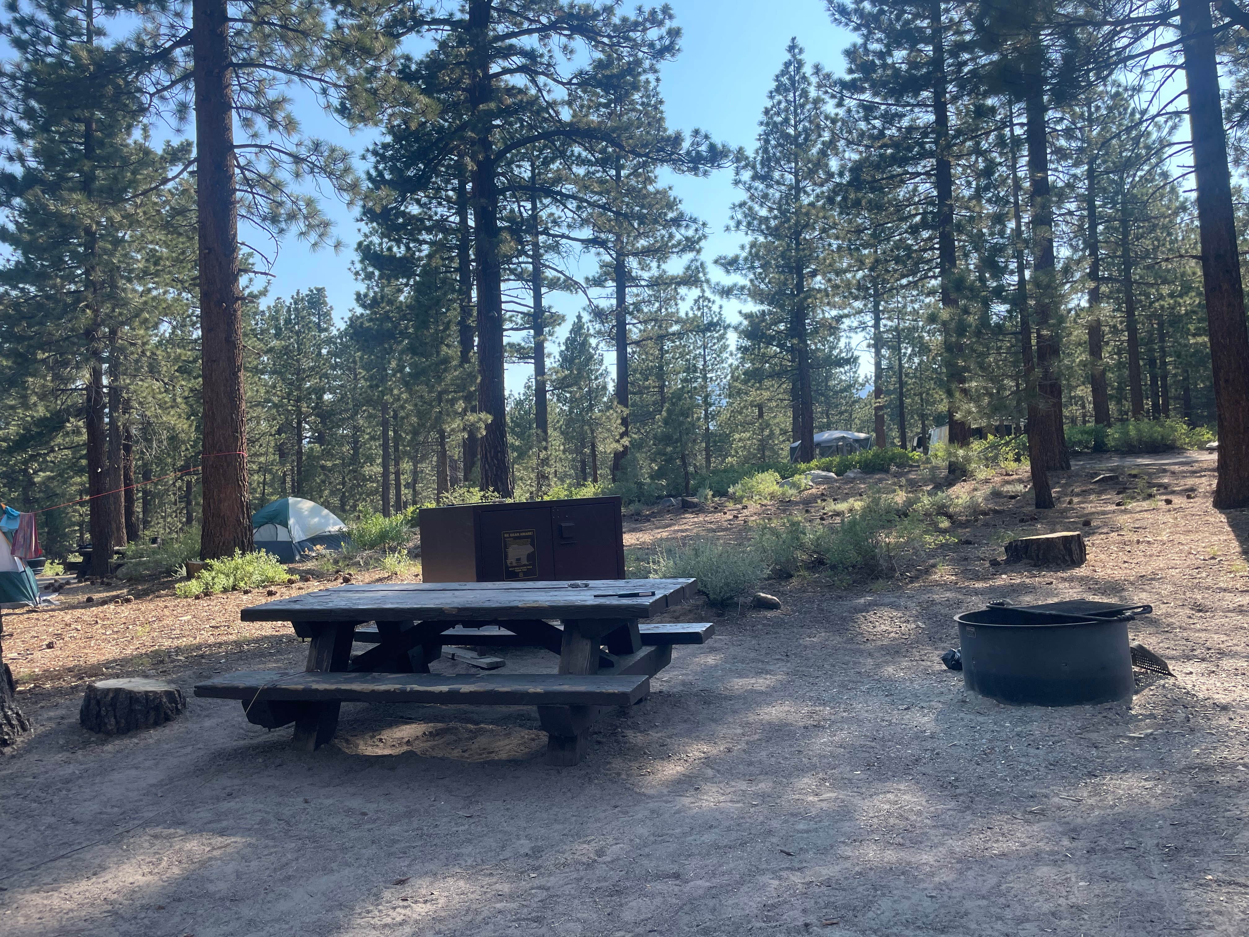 Beverly W.'s photo at Old Shady Rest Campground near Inyo National Forest