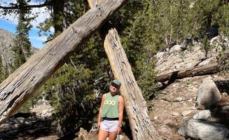 alice N.'s photo of camping with pets at Onion Valley near Independence, CA
