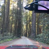 Review photo of Panther Flat Campground by Imerie T., October 10, 2025