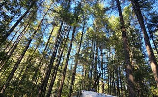 laura U.'s photo at Panther Flat Campground near Gasquet, CA