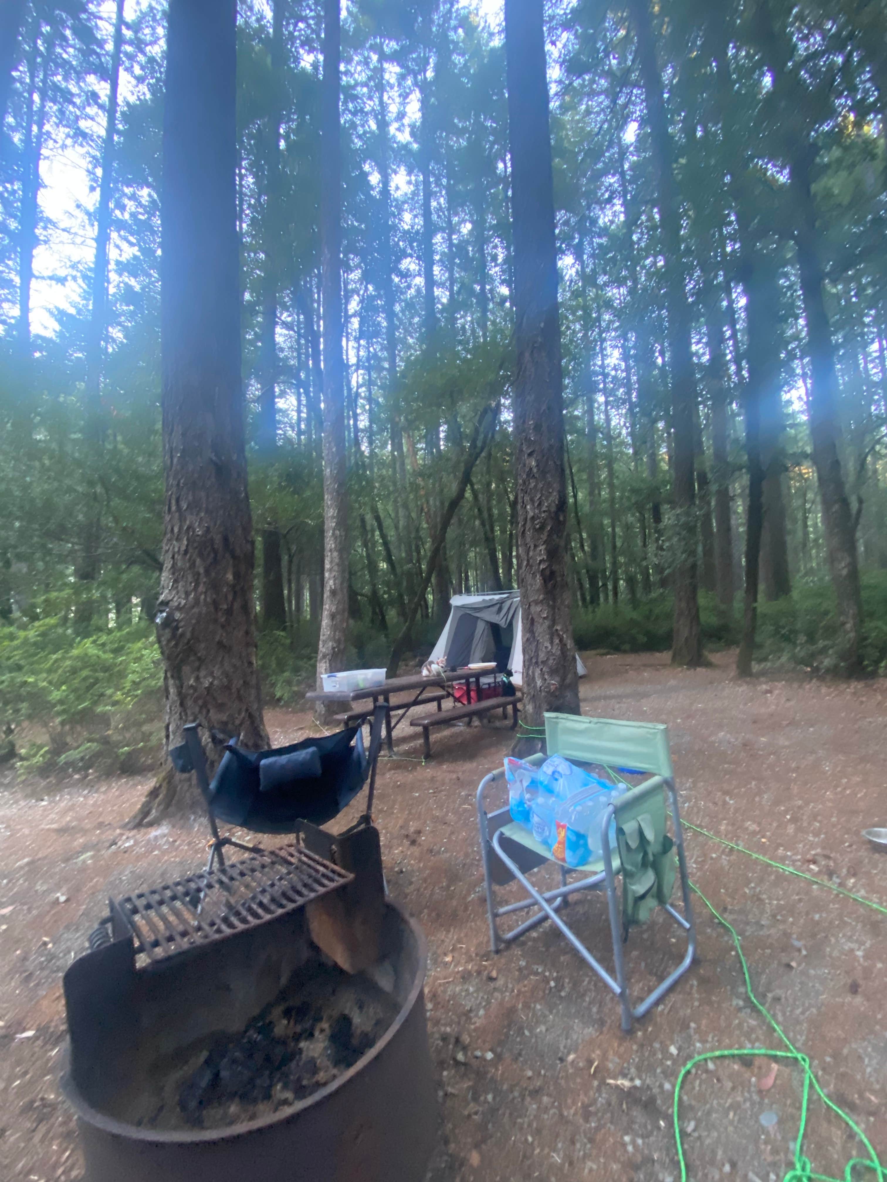 Imerie T.'s photo at Panther Flat Campground near Gasquet, CA