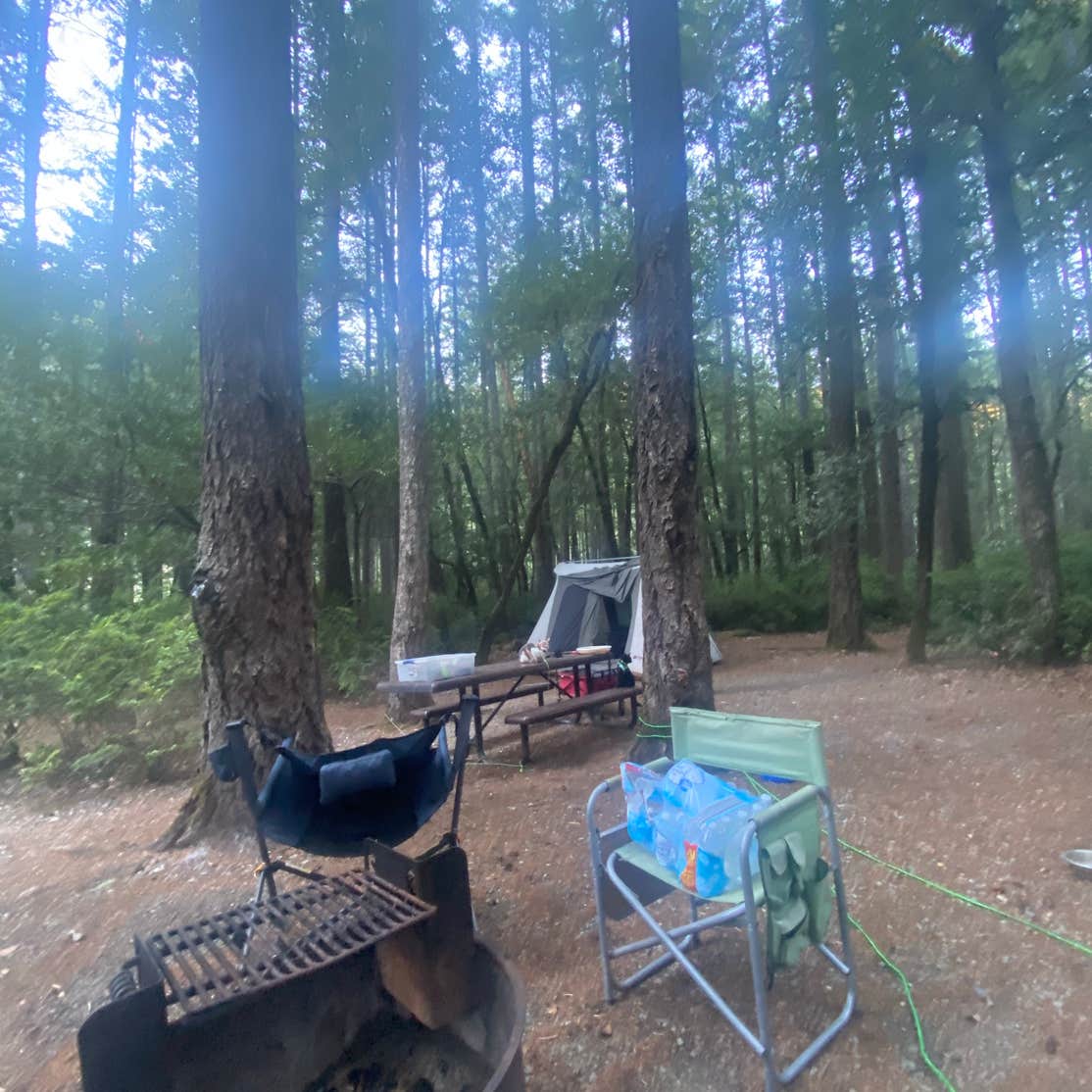 Panther Flat Campground | Gasquet, California