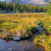 Review photo of Panther Meadows Walk-In Campground by Eileen B., July 28, 2026