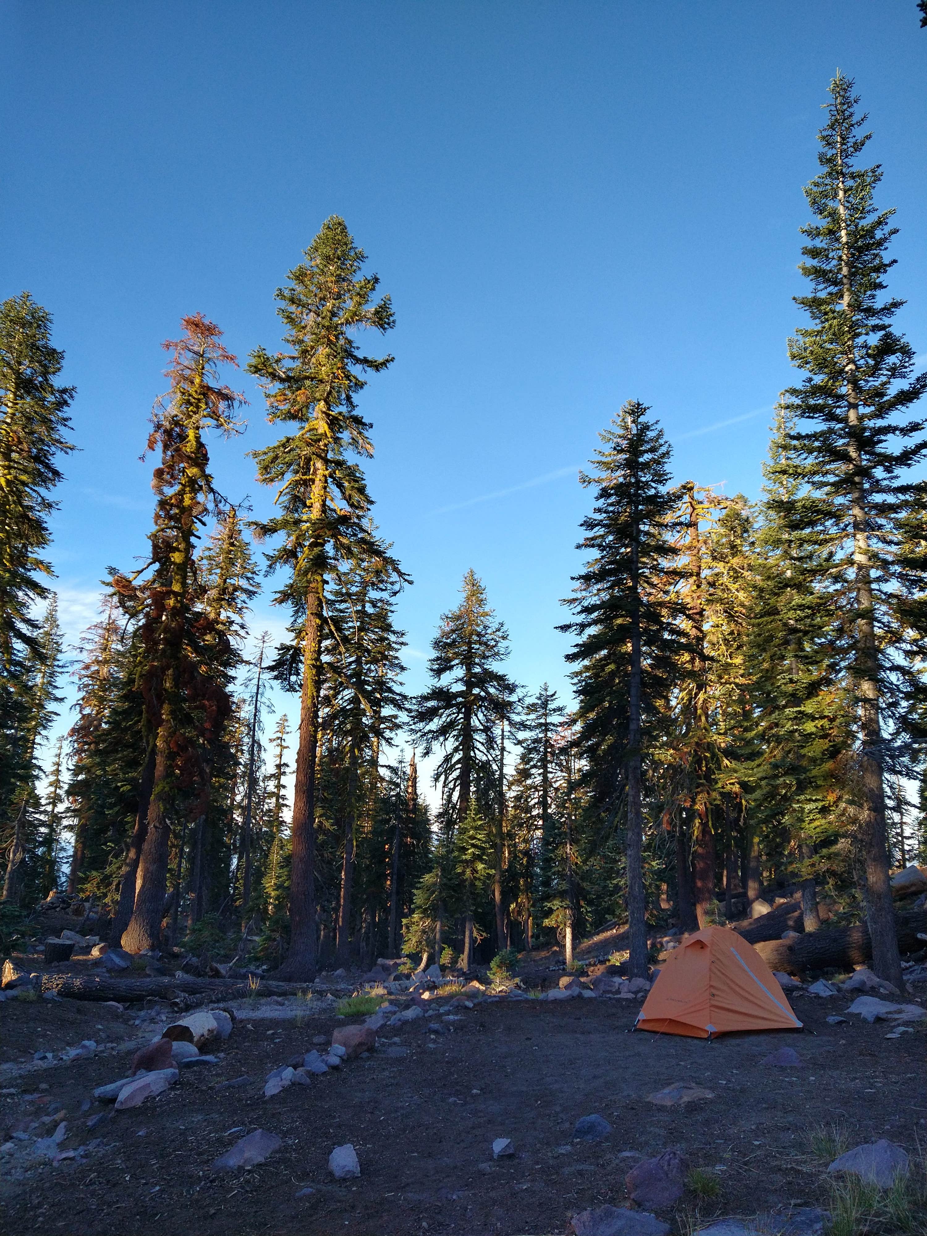 Eileen B.'s photo of tent camping at Panther Meadows Walk-In Campground near French Gulch, CA