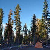 Review photo of Panther Meadows Walk-In Campground by Eileen B., July 28, 2026