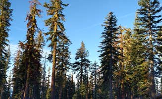 Eileen B.'s photo at Panther Meadows Walk-In Campground near Weed, CA