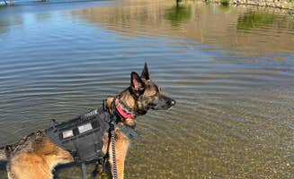 Mandi R.'s photo of camping with pets at Paradise Cove near Edison, CA
