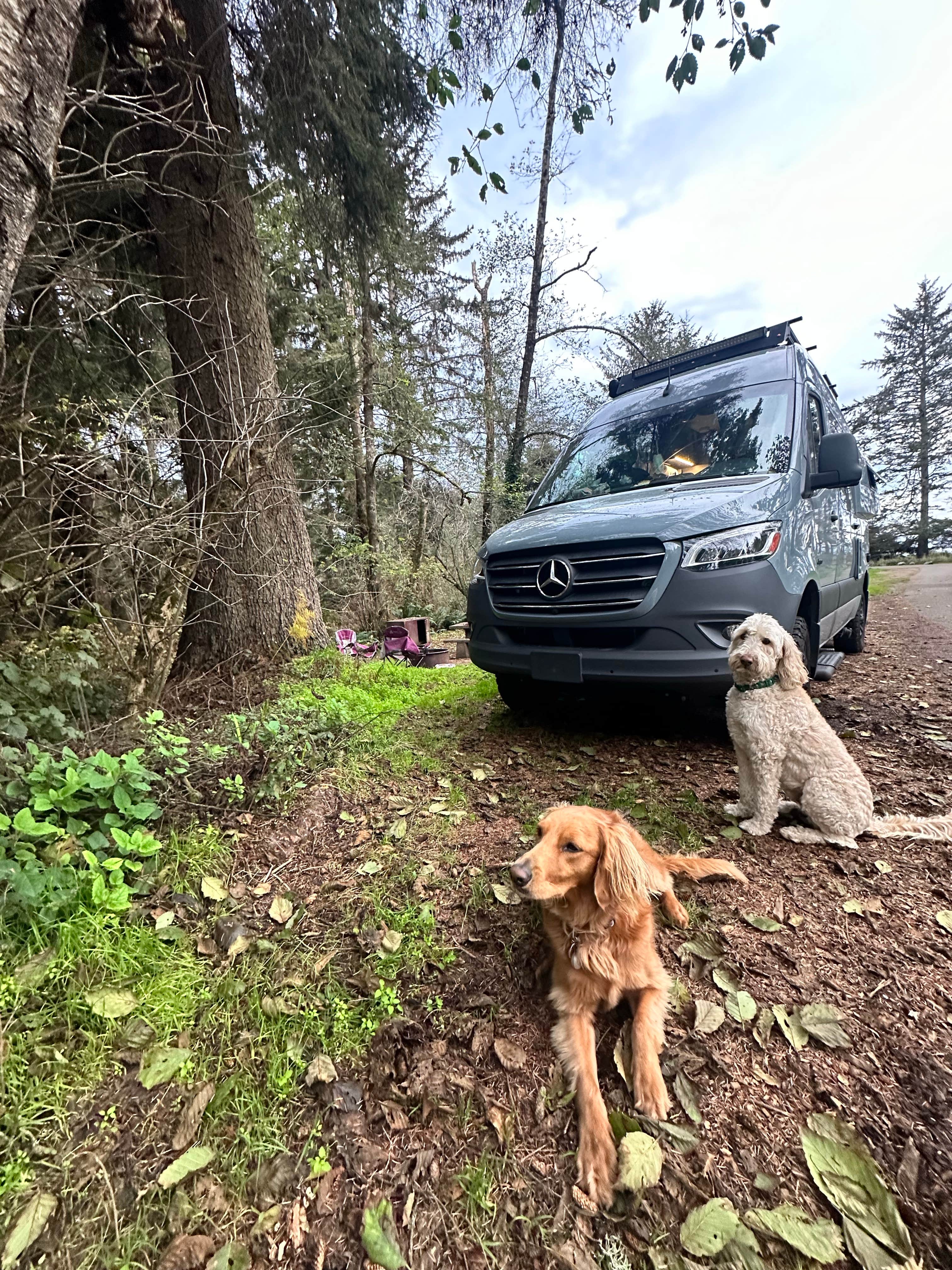 Vanessa C.'s photo of camping with pets at Agate Campground — Sue-meg State Park near Trinidad, CA