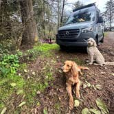 Review photo of Agate Campground — Sue-meg State Park by Vanessa C., December 22, 2023