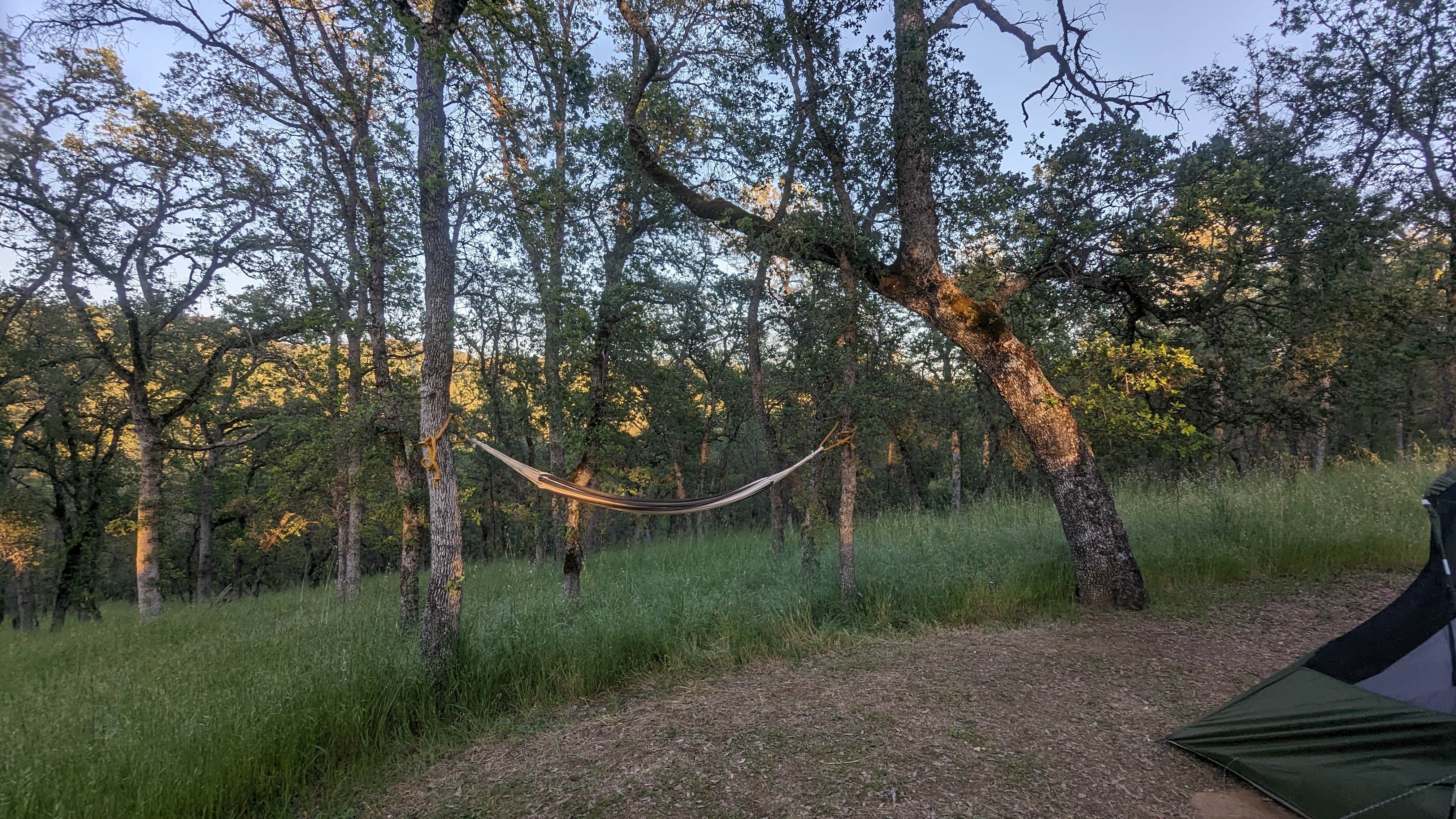 Camper-submitted photo at Peninsula Campground — Folsom Lake State Recreation Area near Auburn, CA