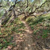 Review photo of Military Park Vandenberg AFB Pine Canyon Campground by Bryce M., September 5, 2024