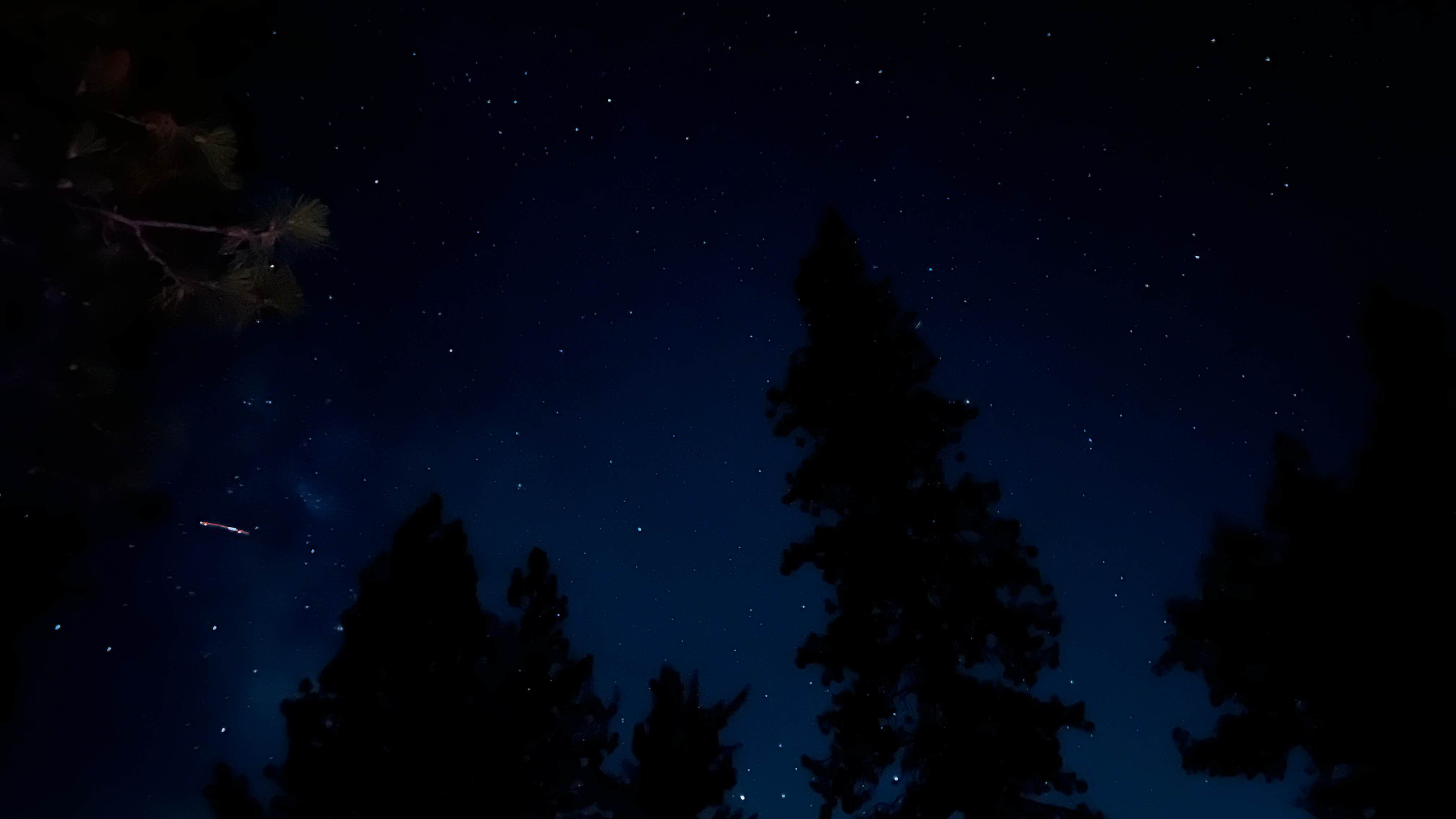 Camper submitted image from Pine Cone - Sly Park Recreation Area - 1