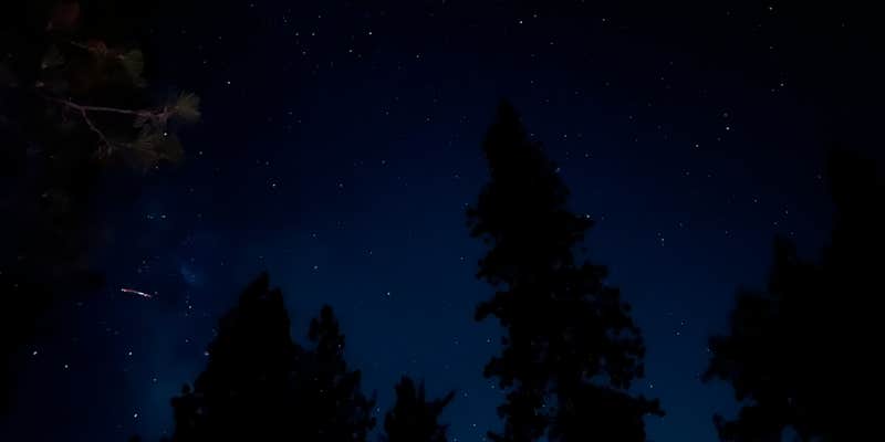 Camper submitted image from Pine Cone - Sly Park Recreation Area