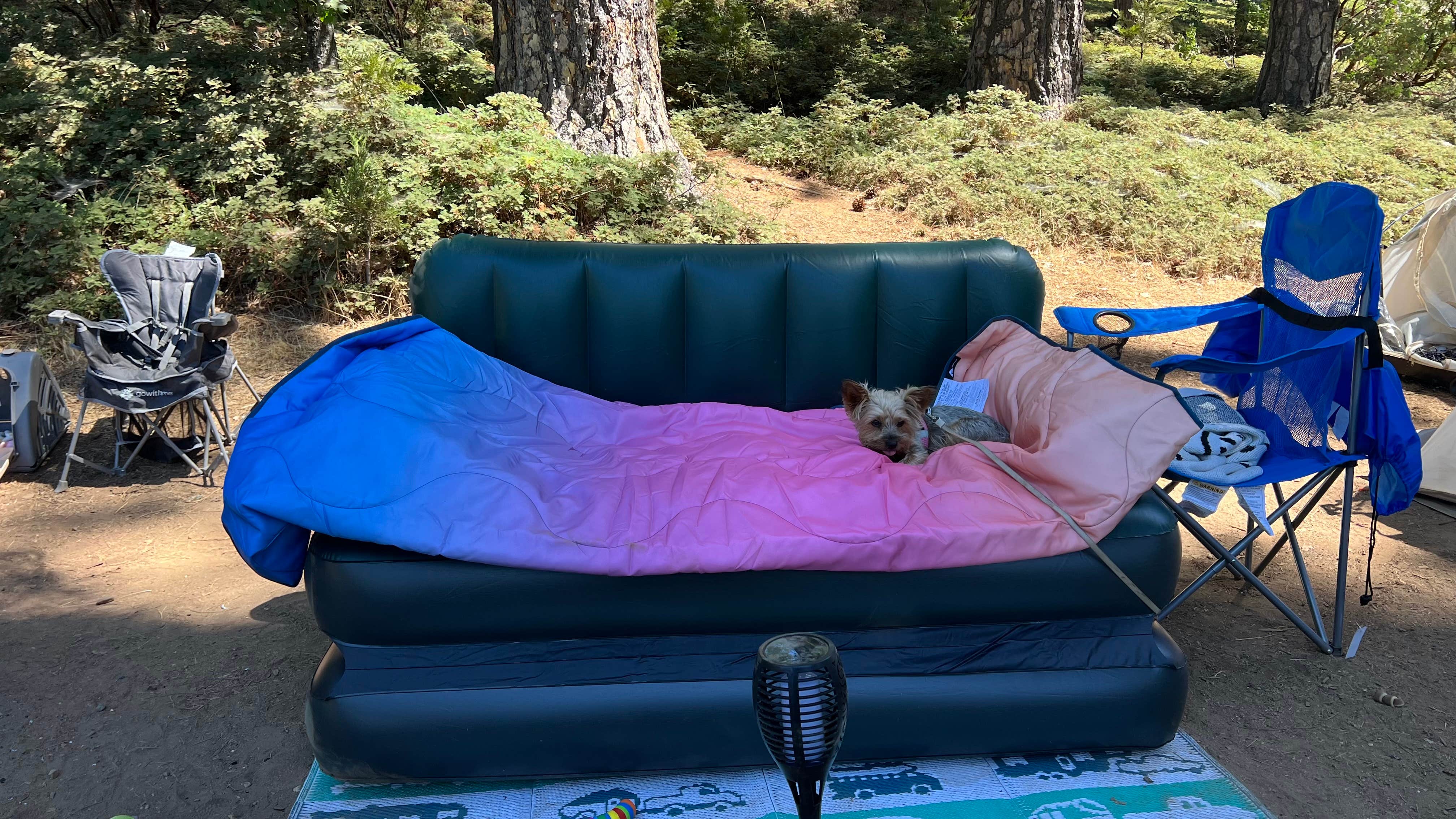 Camper submitted image from Pine Cone - Sly Park Recreation Area - 4