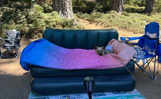 Erika D.'s photo of camping with pets at Pine Cone - Sly Park Recreation Area near Eldorado National Forest
