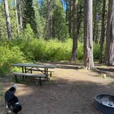 Review photo of Pinecrest Campground by Tom H., September 11, 2026